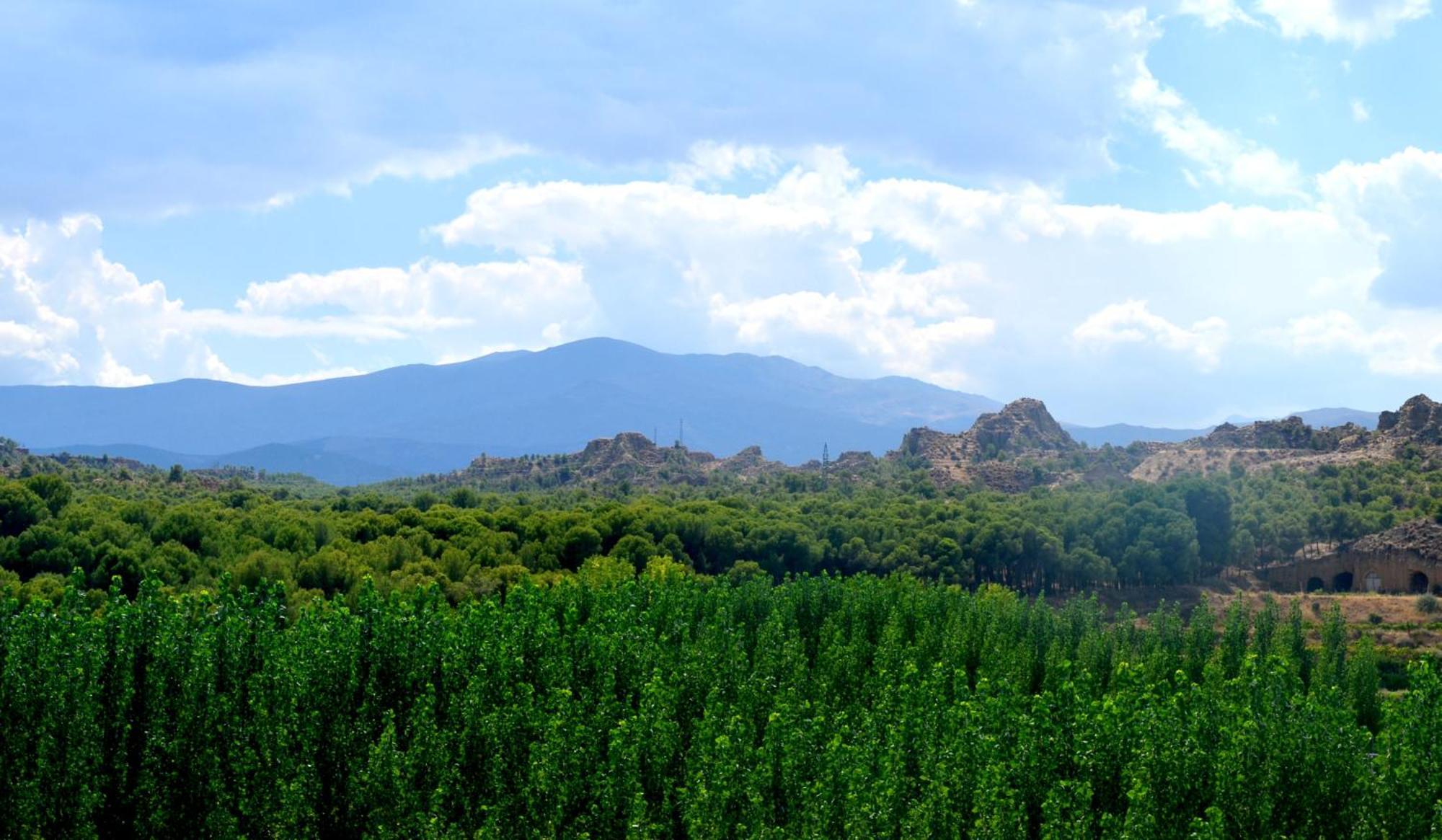 Cuevas Cortijo Gachas Βίλα Γκουαδίξ Εξωτερικό φωτογραφία