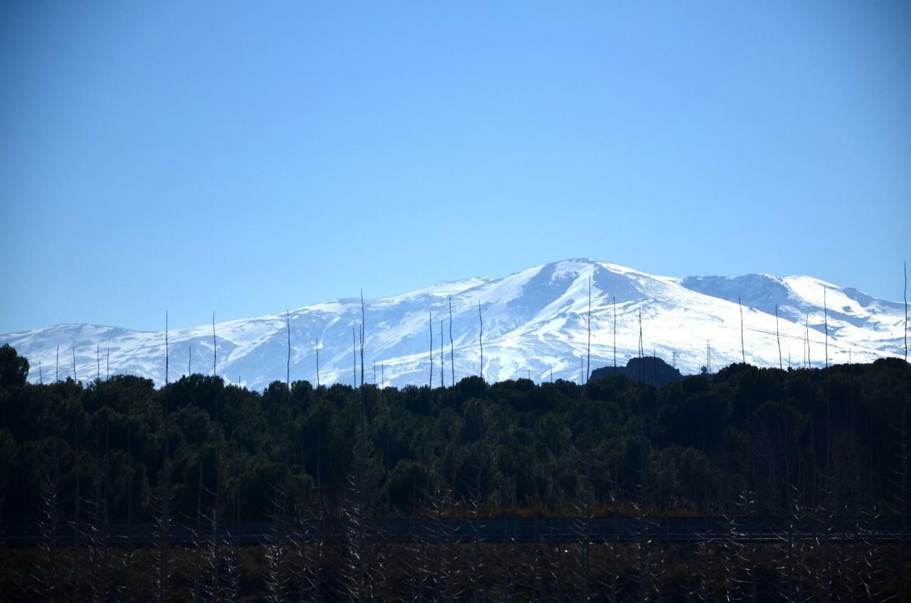 Cuevas Cortijo Gachas Βίλα Γκουαδίξ Εξωτερικό φωτογραφία